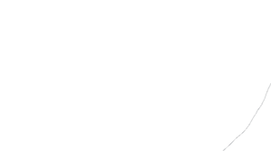 Author Signature